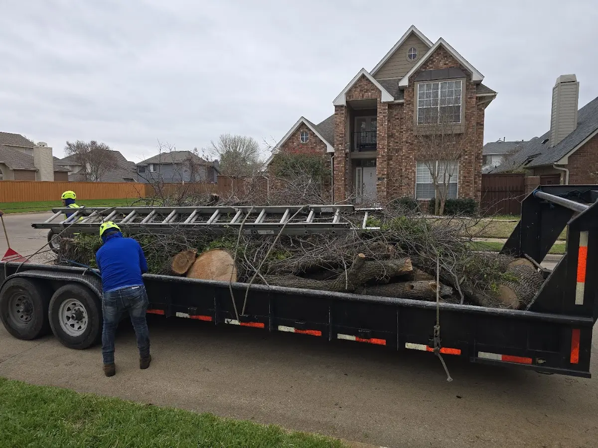 Expert Lot Clearing with proper safety equipment in Monmouth